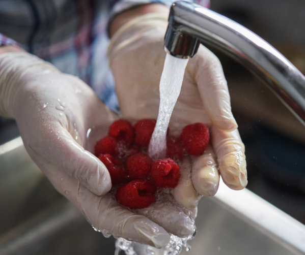 Industria alimentaria
