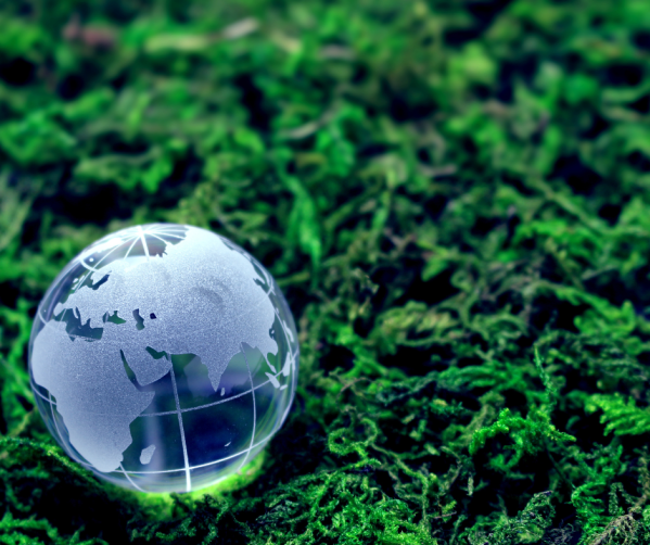 Medioambiente